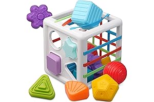 LiKee Montessori Shape Sorter Baby Toy