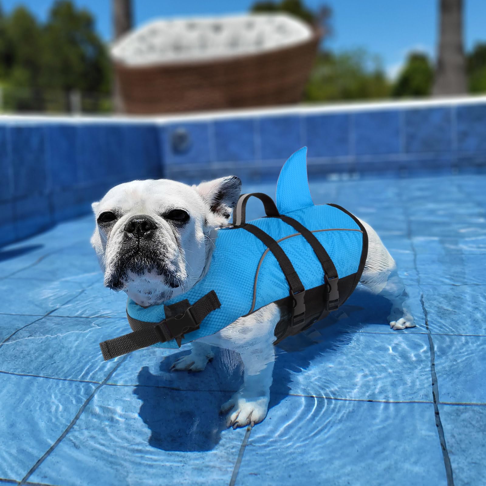 Queenmore Shark Dog Life Jacket For Swimming, High Buoyant
