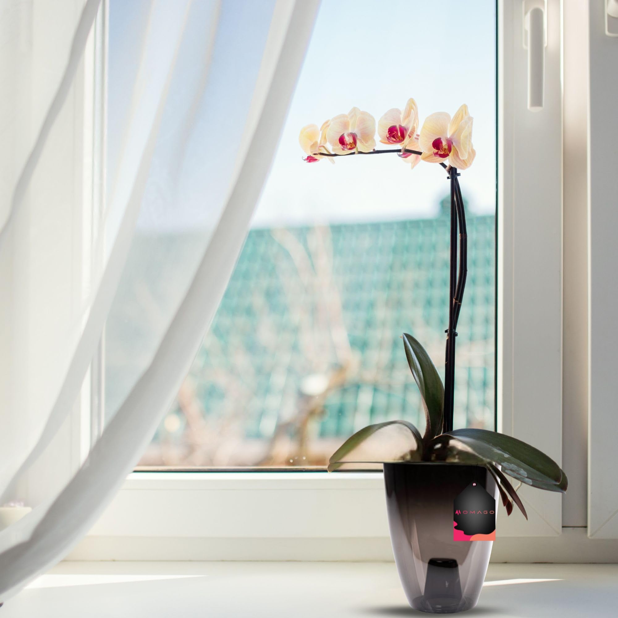 OMAGO® Zestaw 3 półtransparentnych osłonek na storczyka 12 cm, eleganckie grafitowe doniczki do wnętrz, czarne osłony do storczyków i roślin domowych