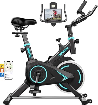 TENBOOM Exercise Bike Home Gym Use, with LCD Display & Tablet Holder, Indoor Cycling Bike for Fitness Cardio Workout, Silent 0-100% Level Adjustable Resistance, 120KG Weight Capacity