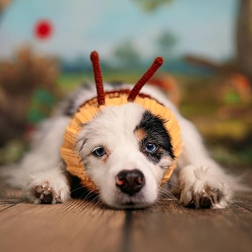 Miniatura 8 de Zoo Snoods Disfraz de Bumble Bee Tejido de punto para perro para mascotas, cubierta cálida para el cuello para Halloween e invierno (M)