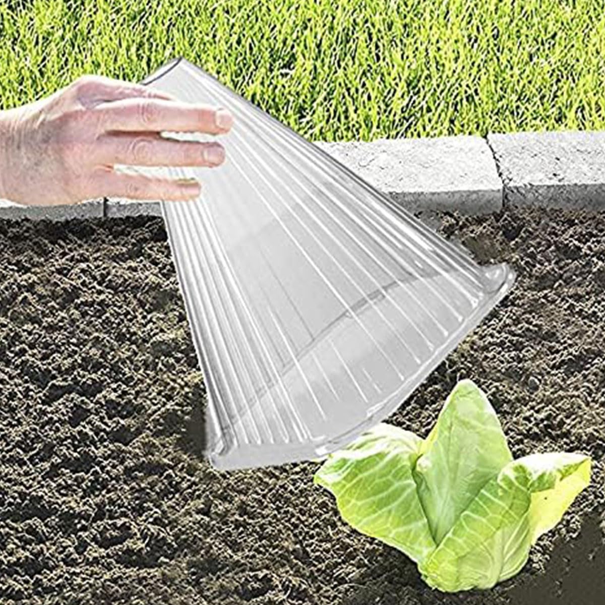 Cloches de Protection pour Plantes en PVC Résistant 20PCS