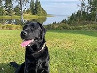 Review Image by M. Fine M. Fine