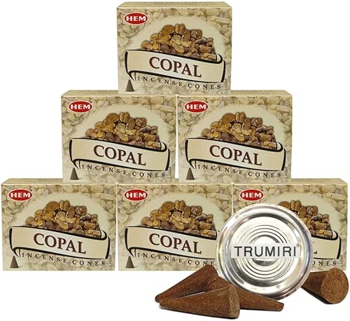 TRUMIRI Paquete de 6 soportes para cono de incienso con dobladillo de copalo, conos de incienso (aproximadamente 60 conos)
