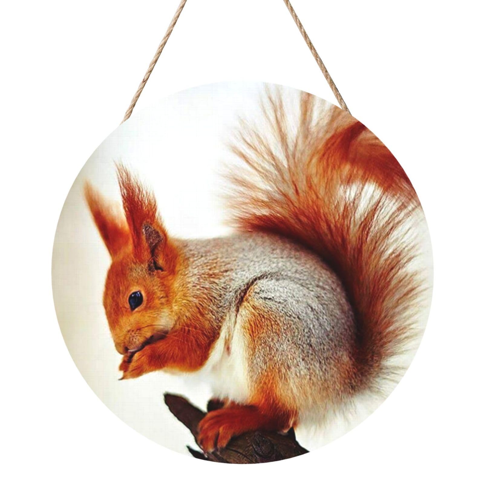 InOmak Squirrel Pictures Printed, Round Wood Panel Painting 12 in, Wall Hanging Painting For Home