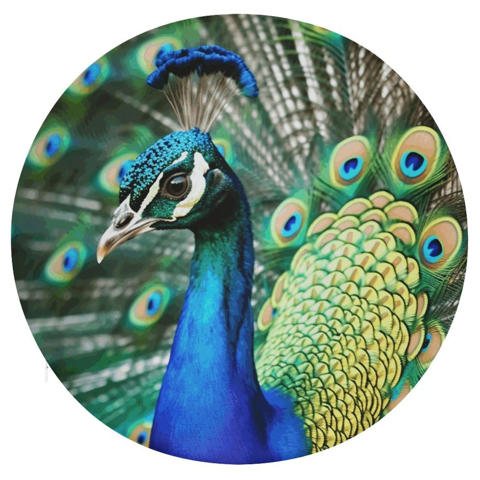 Wsoihfec Style Beautiful Peacock Seat Cushion Round Chair Pad