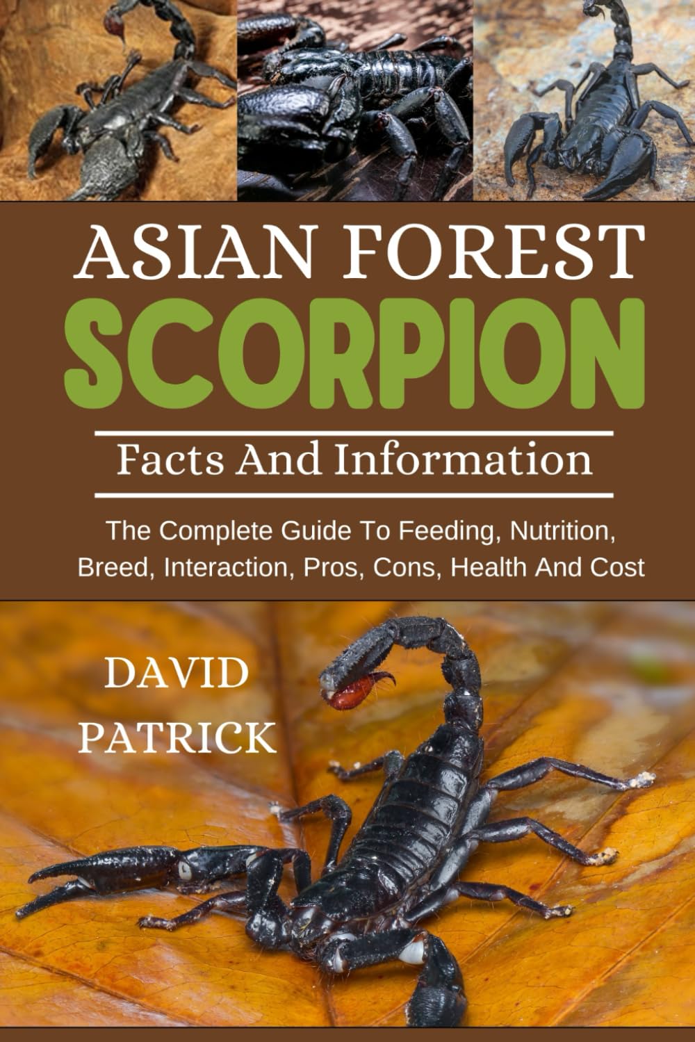 ASIAN FOREST SCORPION: The Complete Guide To Feeding, Nutrition, Breed, Interaction, Pros, Cons, Health And Cost