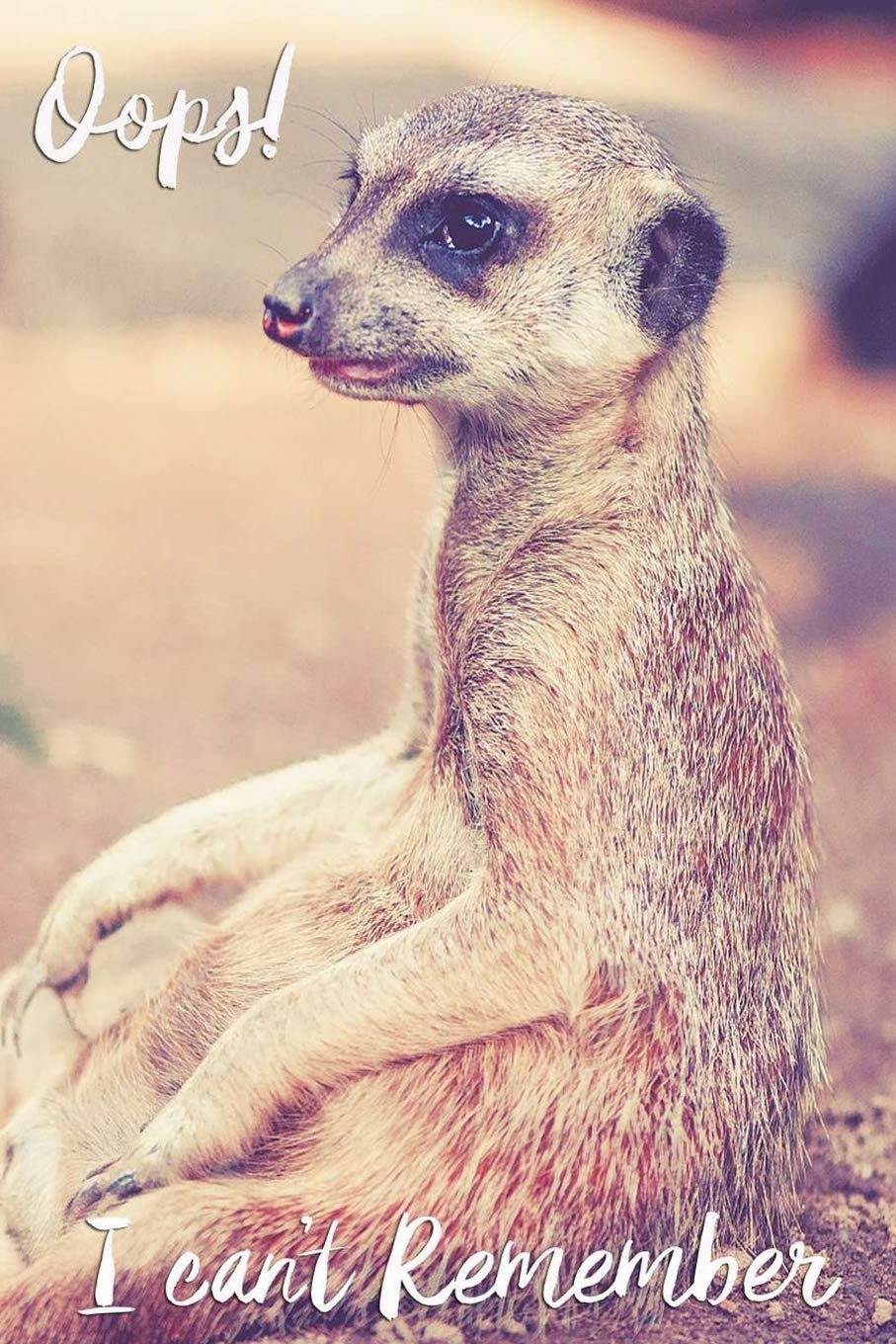 Oops! I Can’t Remember: Animal Password Book Organizer to Keep Usernames, Passwords, Web Addresses | Password book | Website Organizer