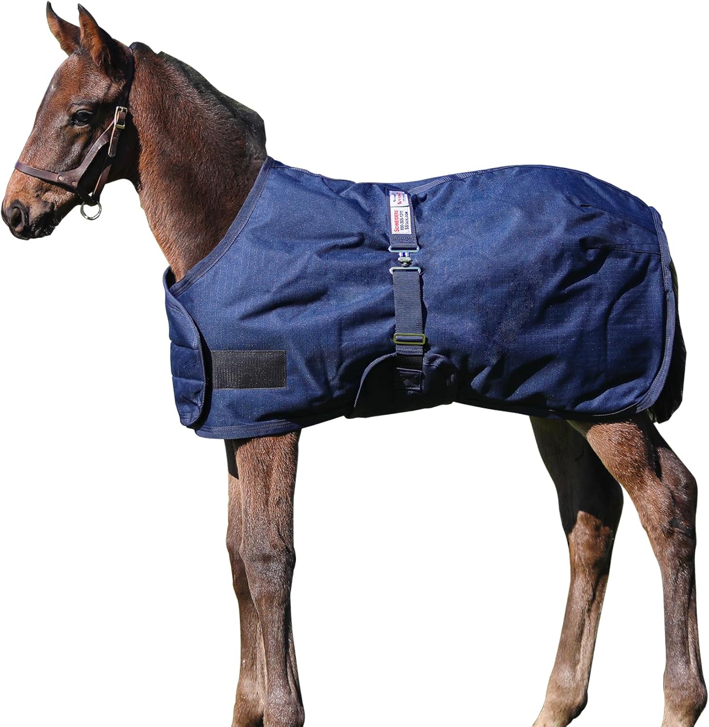 STORM SHIELD Euro Fit Bellyband Foal Horse Turnout Blankets | Mini Horse Blanket | Turnout Blankets for Horses Waterproof | Foal Blanket | Winter Horse Blankets