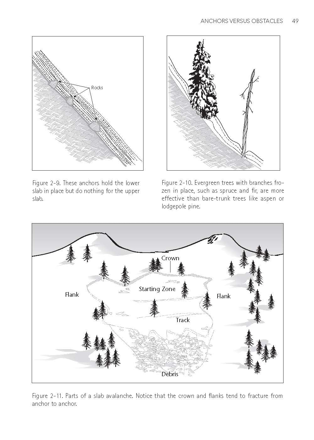 Avalanche Essentials: A Step-by-Step System For Safety & Survival
