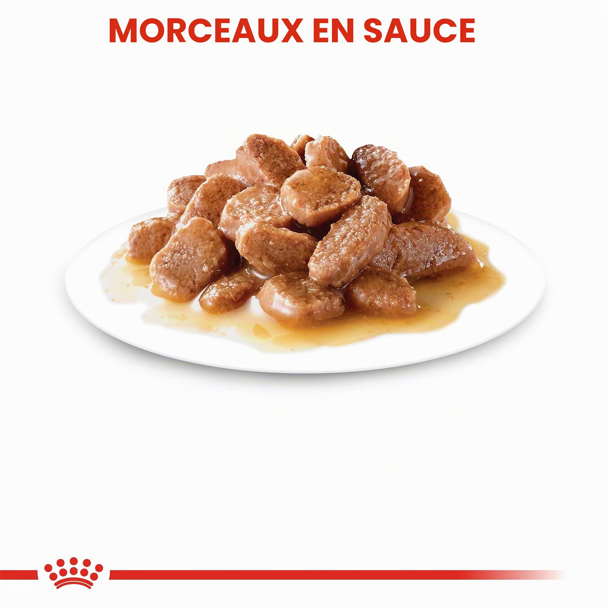 Royal Canin Stérilisé en Sauce | Pack Double | 2 x 12 x 85 g | Aliment Complet pour Chats Adultes | Spécialement pour Les Chats castrés à partir de 12 Mois | Morceaux en Sauce