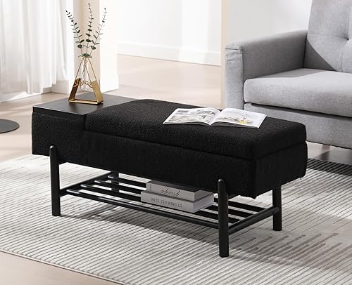 EALSON Banco de almacenamiento moderno para dormitorio, extremo de la cama, banco otomano de sherpa con almacenamiento tapizado, banco de entrada