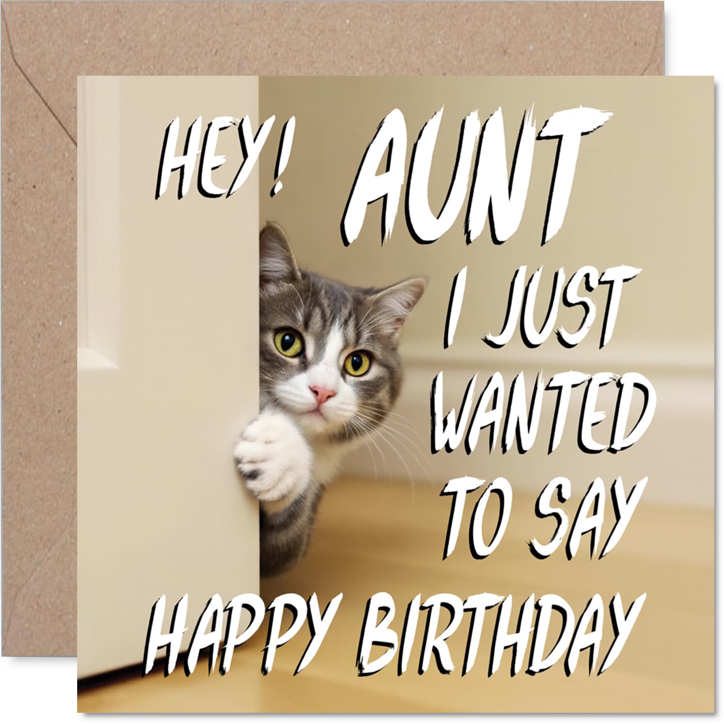 Aunt Birthday Card, Cute Cat Peekaboo