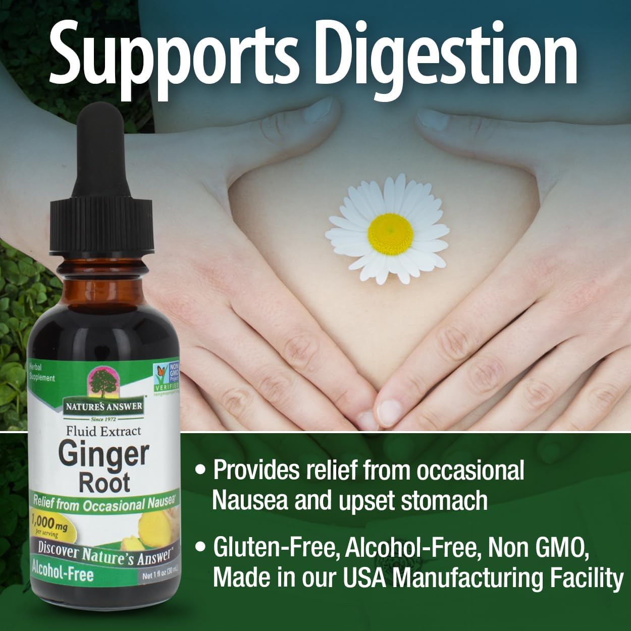 Nature's Answer Ginger Root Alcohol Free Extract 1 Ounce | Supports Stomach Function | Vegan | Vegetarian | Non-GMO | Gluten Free - Image 4