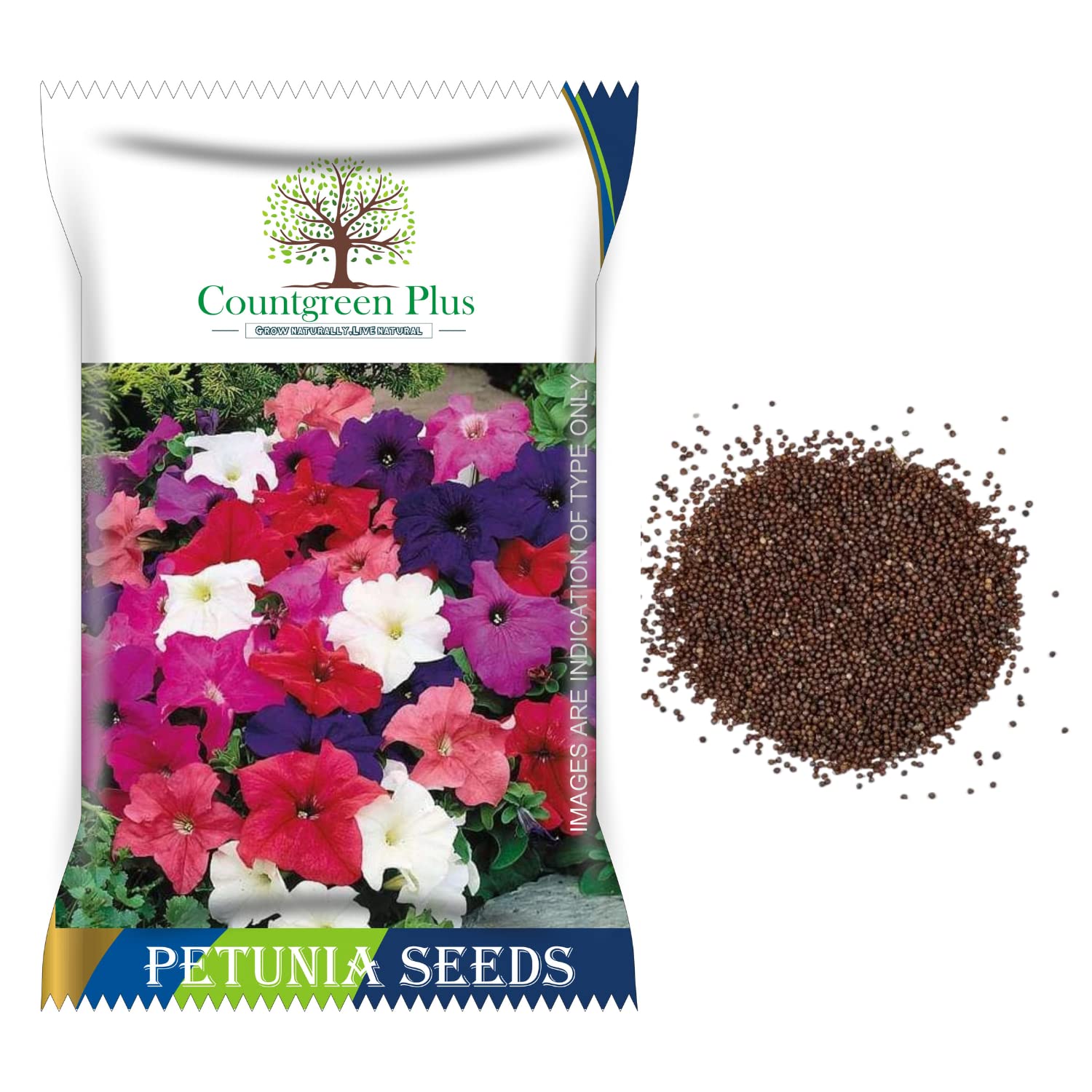 Countgreen Plus Petunia Flower Seeds (2 Packet, Mix 300 Seeds) Fragrant Flowering Plants Seeds | Natural and Organic Seeds for Indoor Home Decor | Winter Gardening Seeds for Planters (B0C41R23K9) Amazon Price History, Amazon Price Tracker