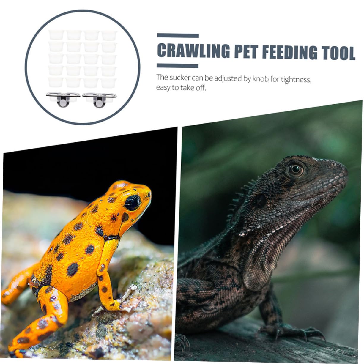 Beavorty 3 Set di Mangiatoie per Rettili E Gechi in Materiale Avanzato con Tazze Senza Sbavature per Un Uso Sicuro degli Animali Domestici Design Pratico
