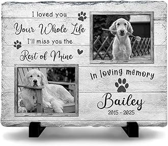 Personalized Rectangle Shaped Memorial Headstones for Dog Cat Passing Away - in Loving Memory Gifts for Condolences - Plaque Color to Show Vibrancy of Your Furry Friends for Pet Lovers