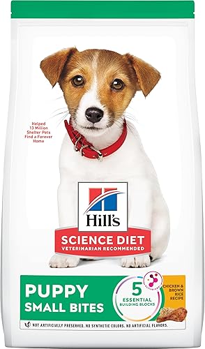 Hills Science Diet Alimento seco para perros cachorros bocados pequeños harina de pollo y receta de cebada