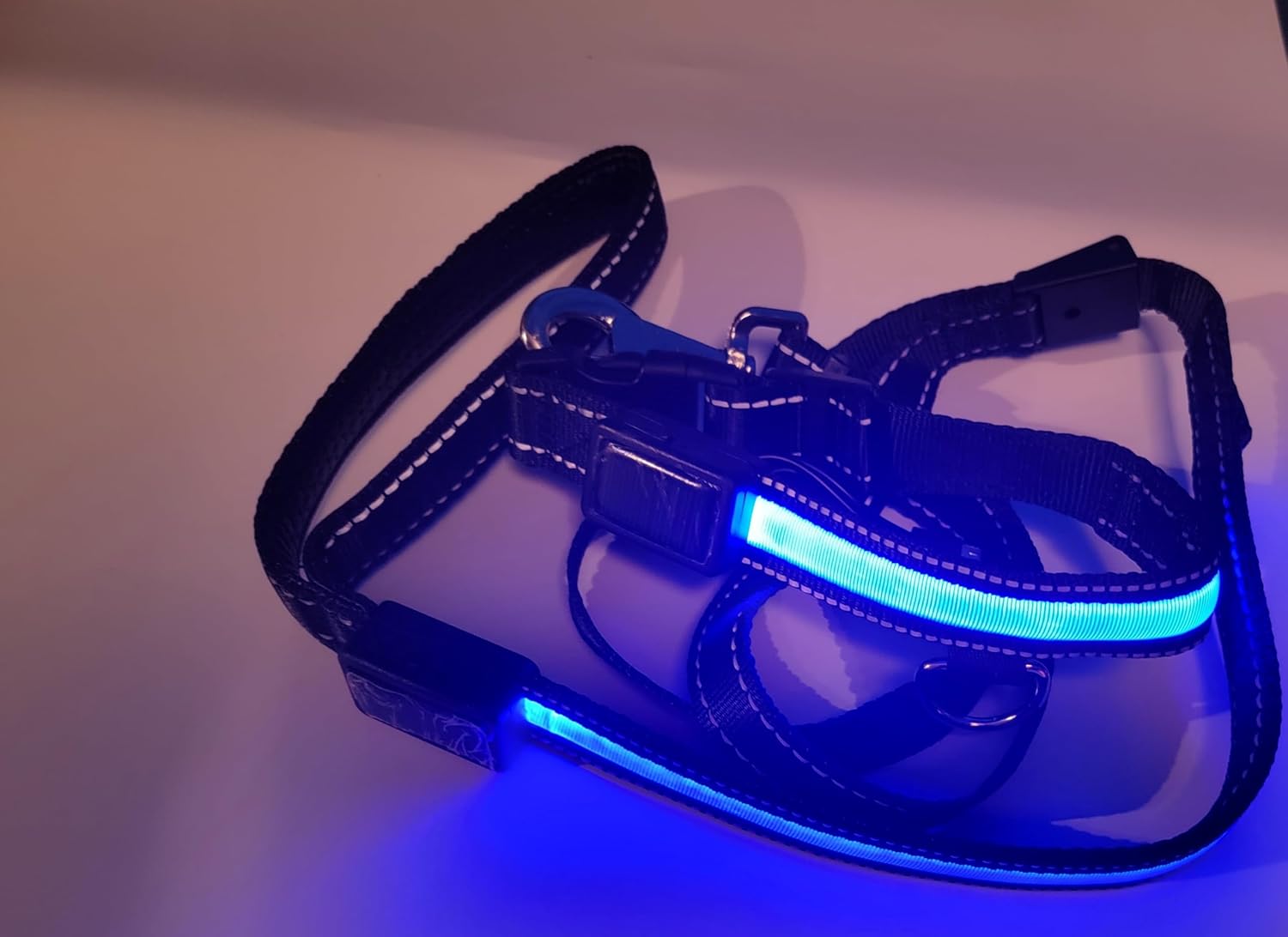 LED Dog Collar and Leash Light USB Rechargeable Color Changing, Glow in The Dark Dog Collars and Leash Waterproof (Blue, Collar Small + Leash)