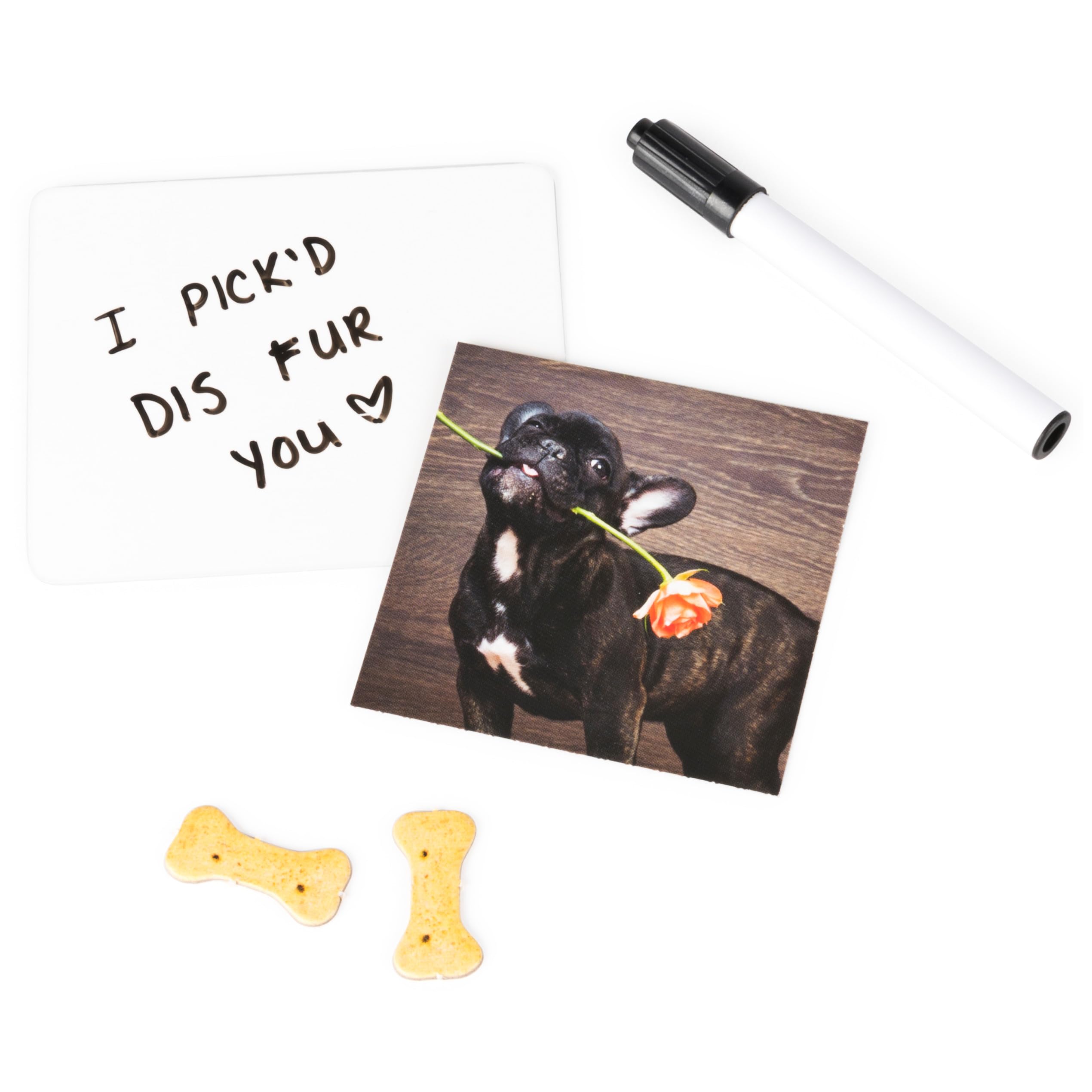 The Dog Game, Hilarious Family Game with Doggos, for Ages 8 and Up