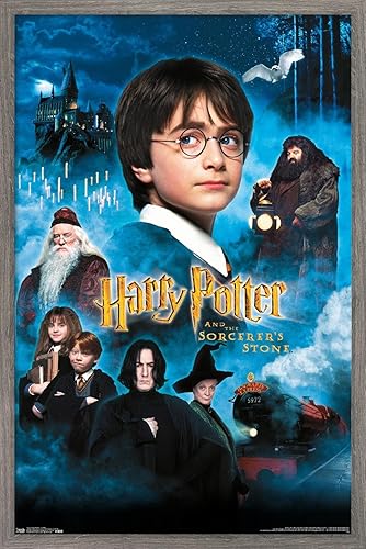 Trends International Harry Potter y la piedra del hechicero - Velas de una hoja Póster de pared, 14.725 x 22.375 pulgadas, versión enmarcada de