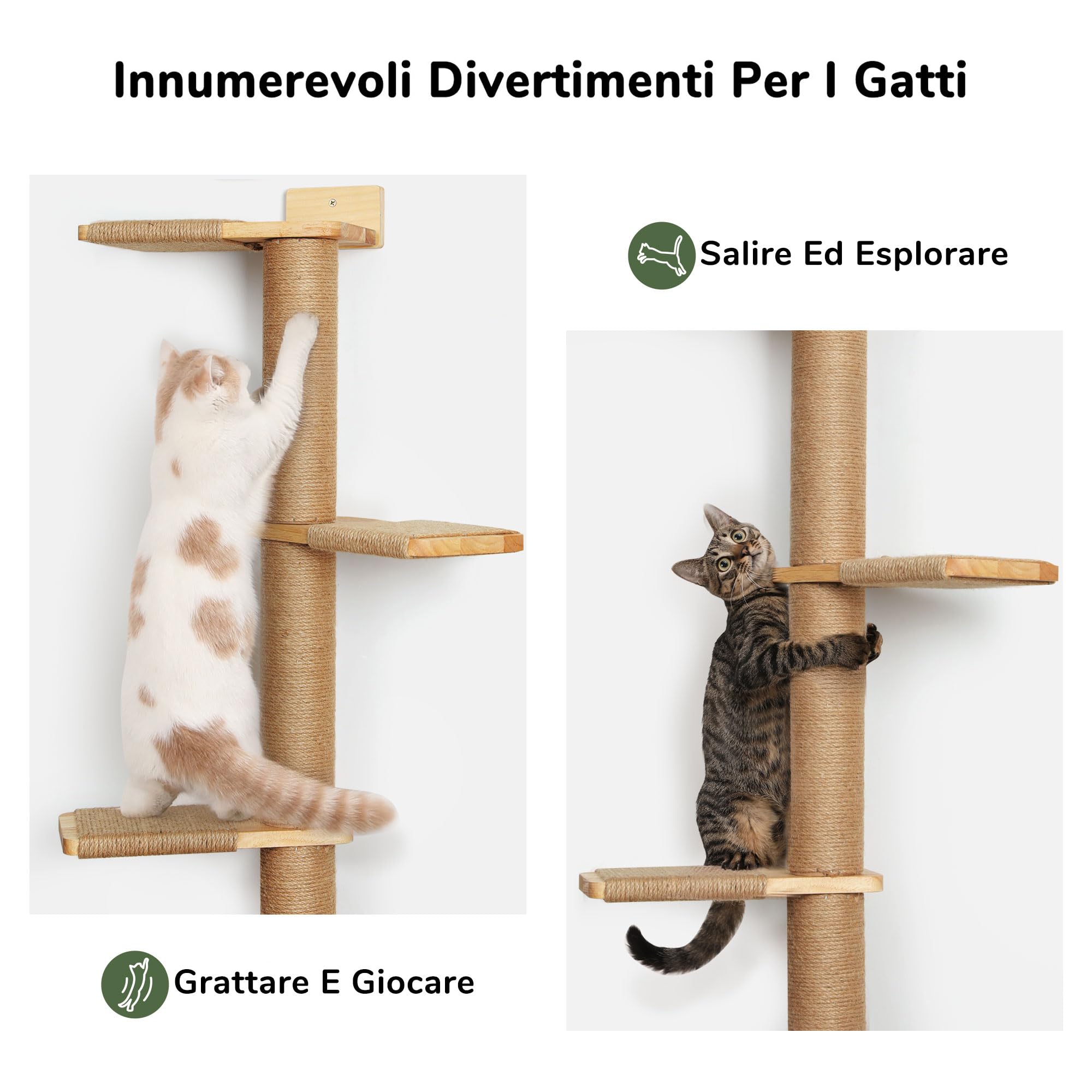 FUKUMARU Torre Tiragraffi per Gatti Alto (205CM), Mensola da Parete a 5 Livelli, Legno Massiccio e Iuta, Gradini per Arrampicare, Graffiare, Giocare