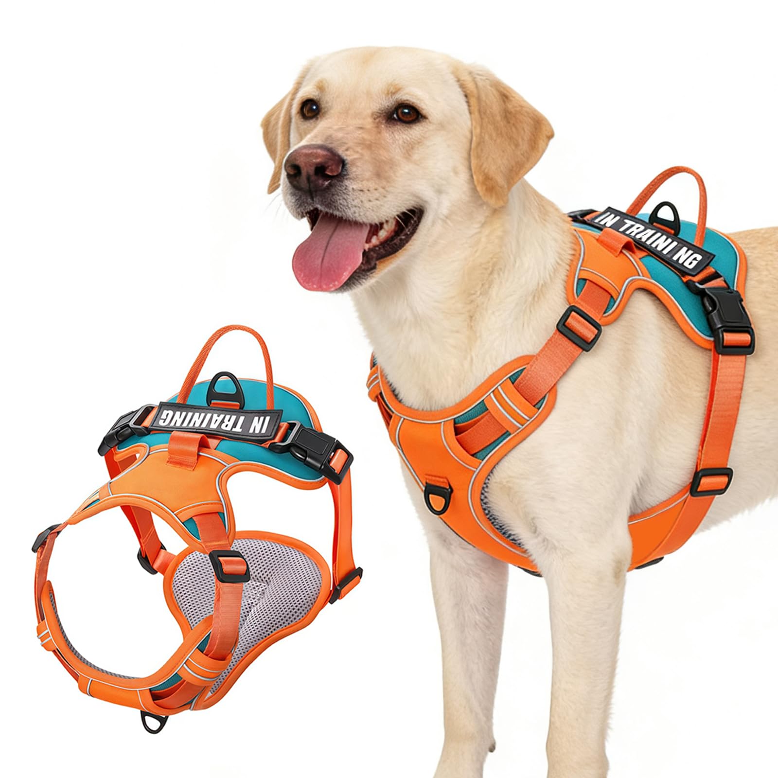 Personalized No Pull Dog Harness with Name and Phone Number, Adjustable Heavy Duty Training Vest for No Pulling and Choking, Breathable Padded for Walking Dogs