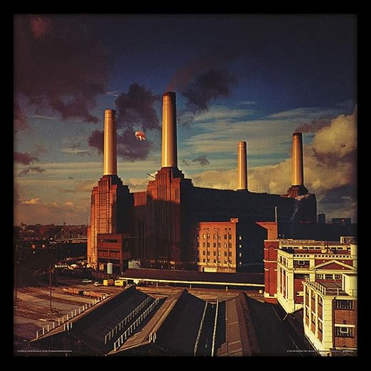 Amazon Co Jp Pink Floyd ピンクフロイド Animals インテリア額 公式 オフィシャル ホーム キッチン Amazon Co Jp Pink Floyd ピンクフロイド Animals インテリア額 公式 オフィシャル ホーム キッチン