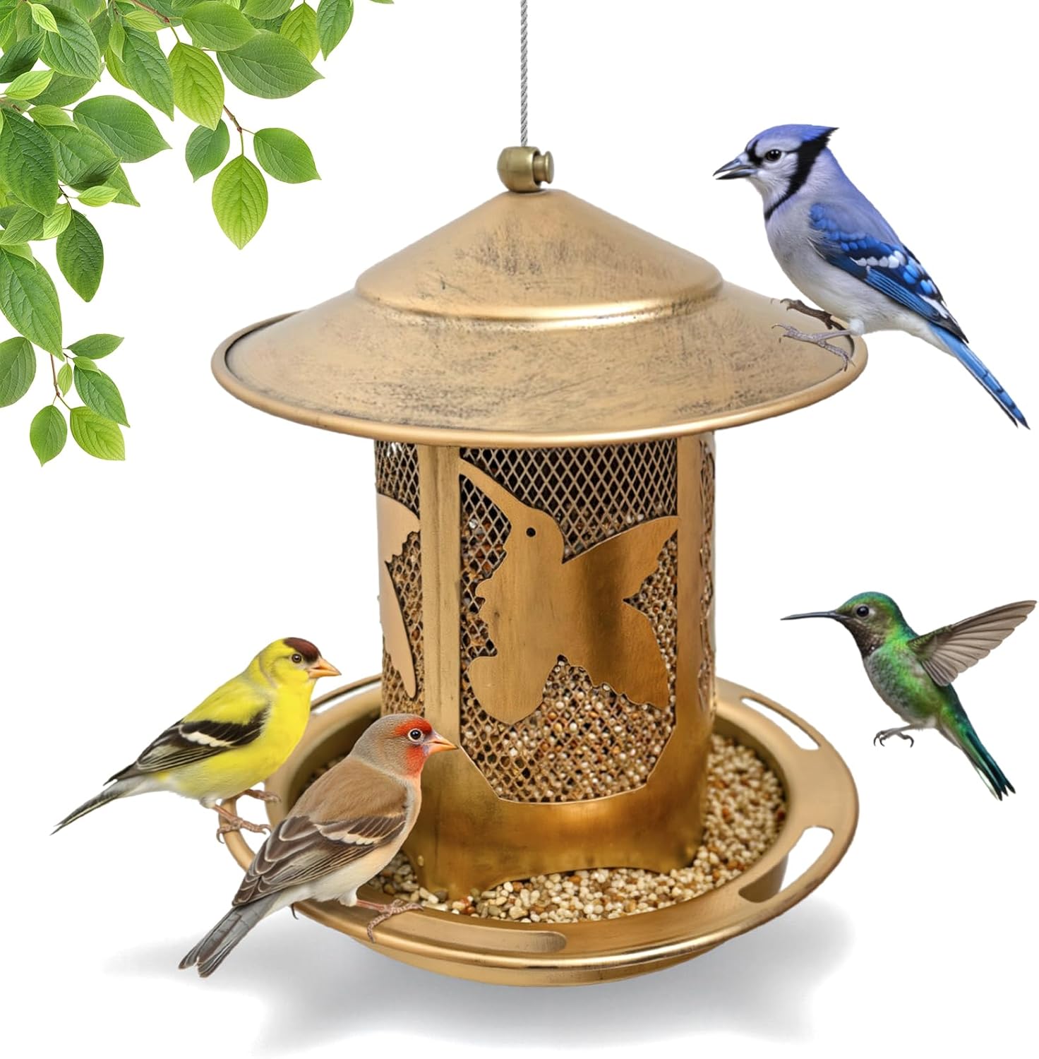Bird Feeder for Outdoors, Weatherproof Metal Squirrel-Proof Hanging Feeder with Lockable Lid and Large Seed Capacity, Hummingbird-Pattern Design for Wild Birds, Garden, Yard & Backyard