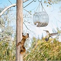 Vista 5 de Comedero para pájaros Bird Feeder Acrylic Transparent Window Viewing Bird Feeders Tray Birdhouse Travel Portable Hanging Feeder to Bird Lovers