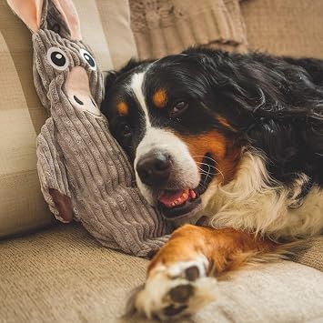 SmartPetLove Snuggle Puppy Tender-Tuffs You-Fill - Durable Donkey Dog Comfort Toy - Dual Purpose Dog Crinkle Toy or Dog Water Bottle Toy