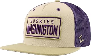 Zephyr Standard NCAA Officially Licensed Hat Trucker Paradigm, Stone