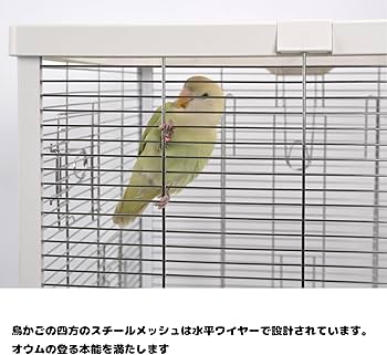 Amazon | 鳥かごスマートな電子 温度と湿度の表示*夜間照明付き Amazon | 鳥かごスマートな電子 温度と湿度の表示*夜間照明付き