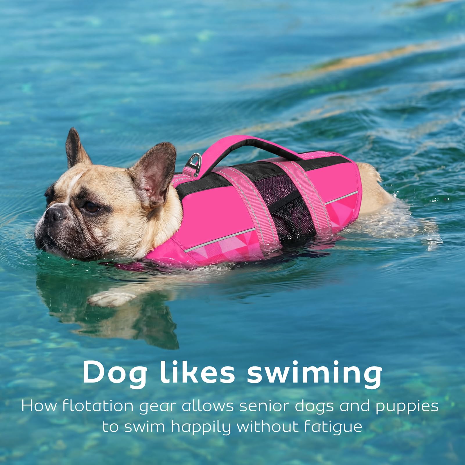 CITÉTOILE Chalecos Aalvavidas para Perros, Flotador Ajustable para Mascotas con Asa, Traje de Baño de Seguridad para el Agua para Navegar en la Piscina de la Playa, Rosa, XS