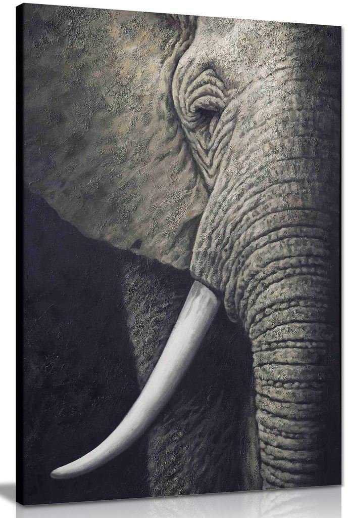 Panther Print Black & White Elephant Black & White African Elephant Canvas Wall Art Picture Print (30X20in)