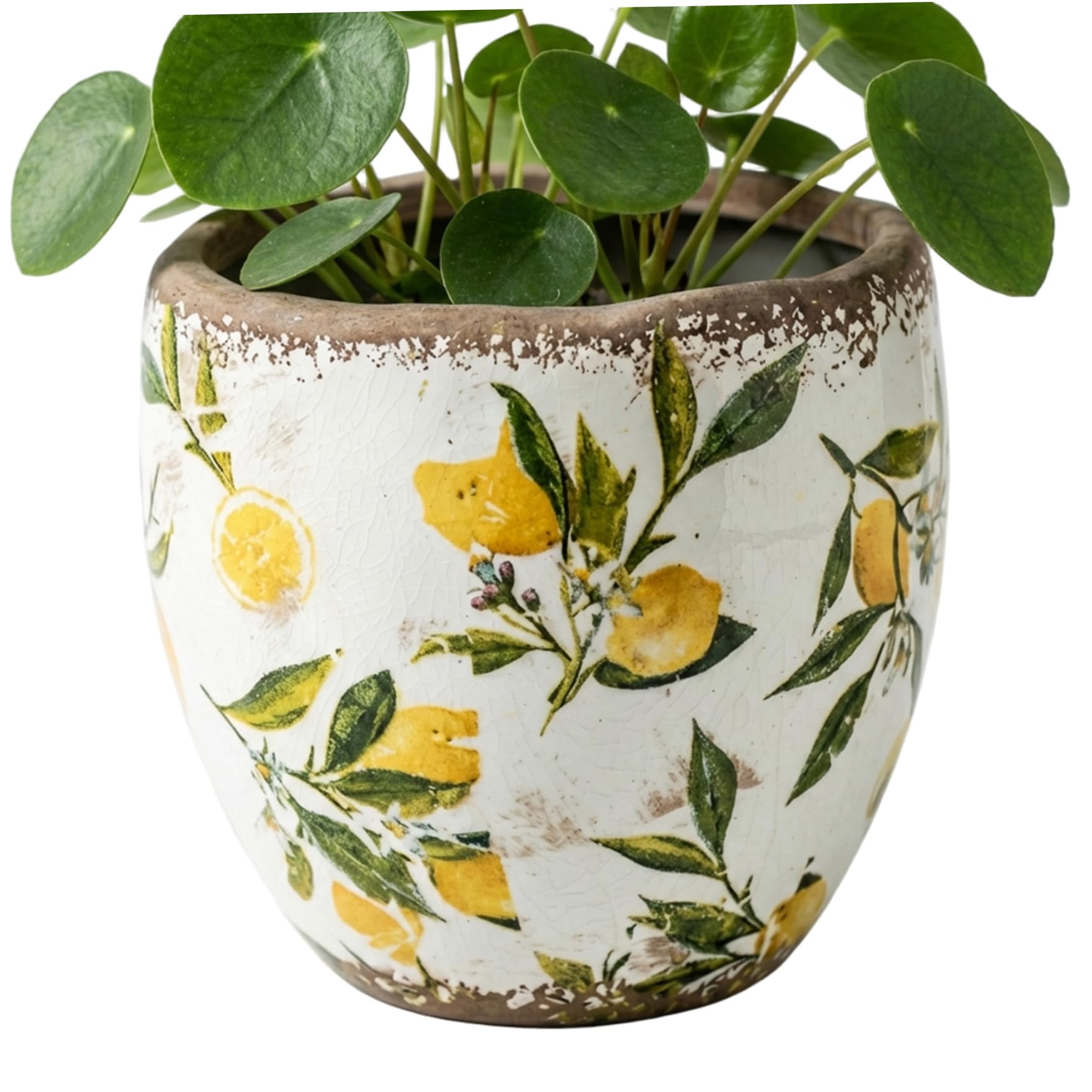 Pot de fleurs toscan en céramique jaune vintage pour illuminer votre salon cet été