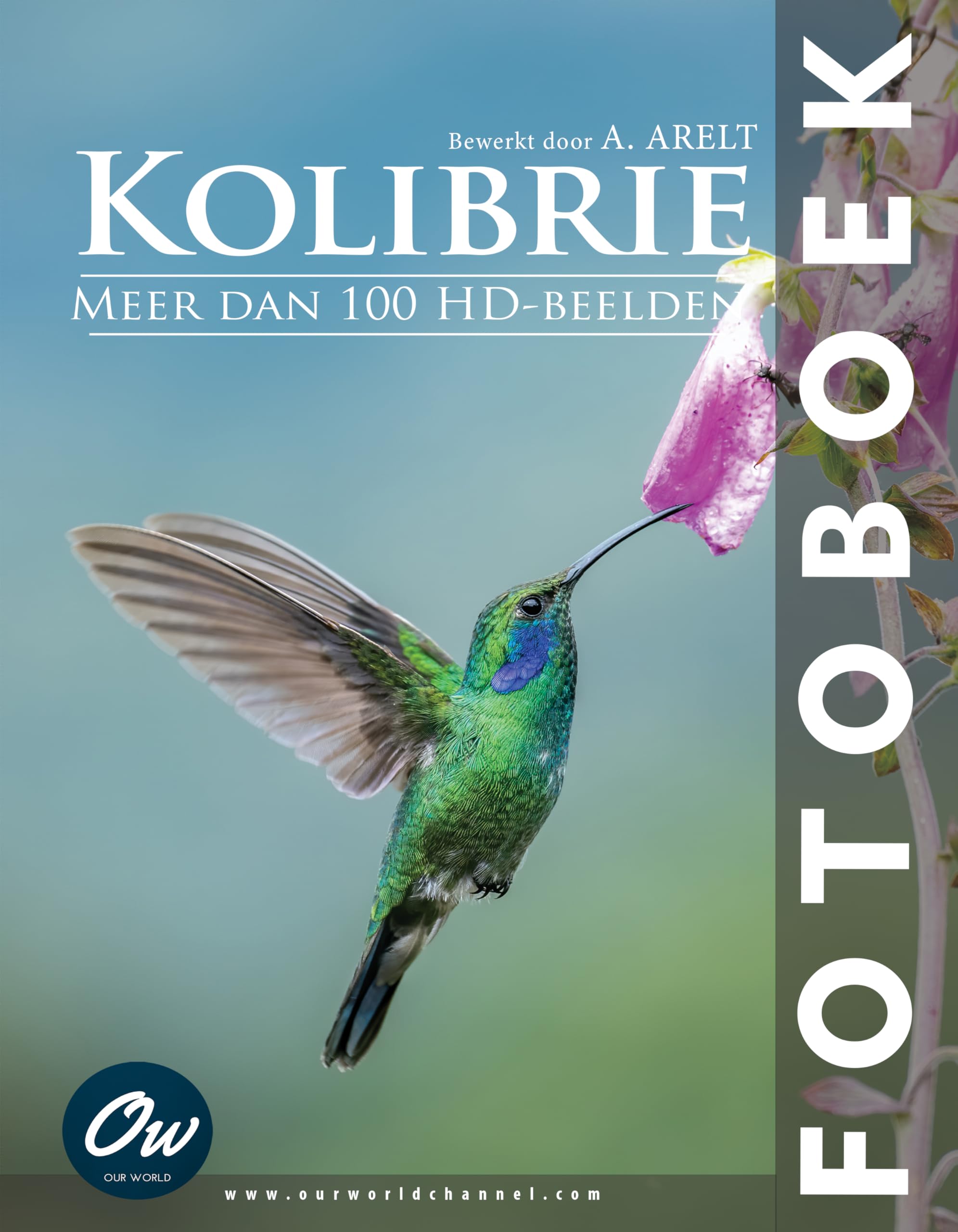 Livre Kolibrie Fotoboek album photo édition néerlandaise relié