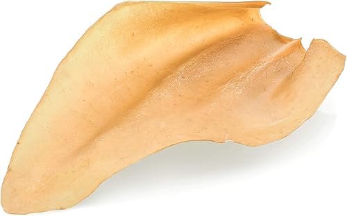 Miniatura 3 de Barkworthies Orejas de vaca enteras, 12 unidades (paquete de 1), totalmente naturales, de un solo ingrediente, carne de res de corral, promueve la