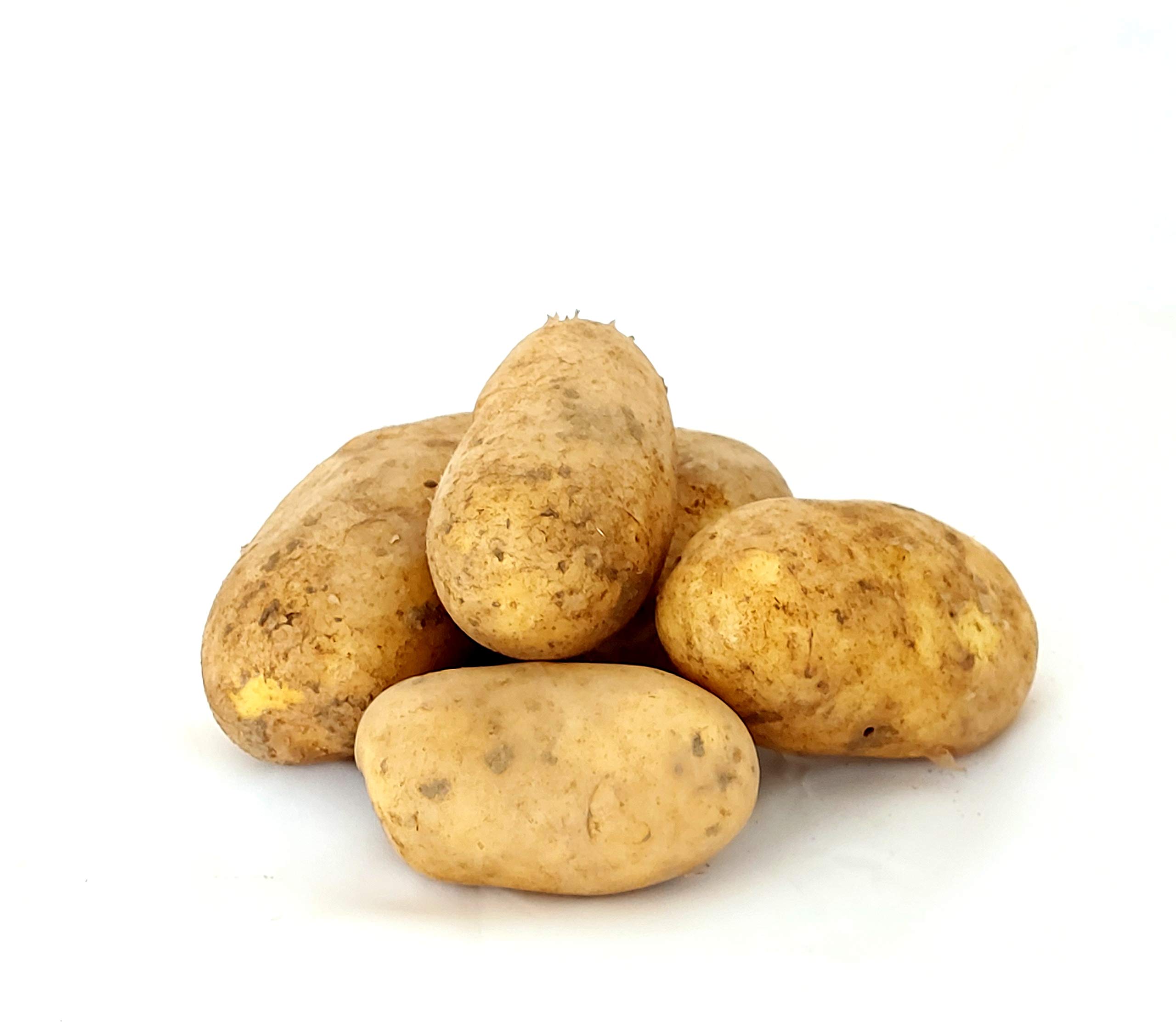Frische Kartoffeln Speisekartoffeln Annabelle 1-25 KG neue Ernte 2026 festkochend Salatkartoffel zum Grillen für Kartoffelsalat, Pellkartoffeln, Bratkartoffeln, Pommes Frites, Butterkartoffeln