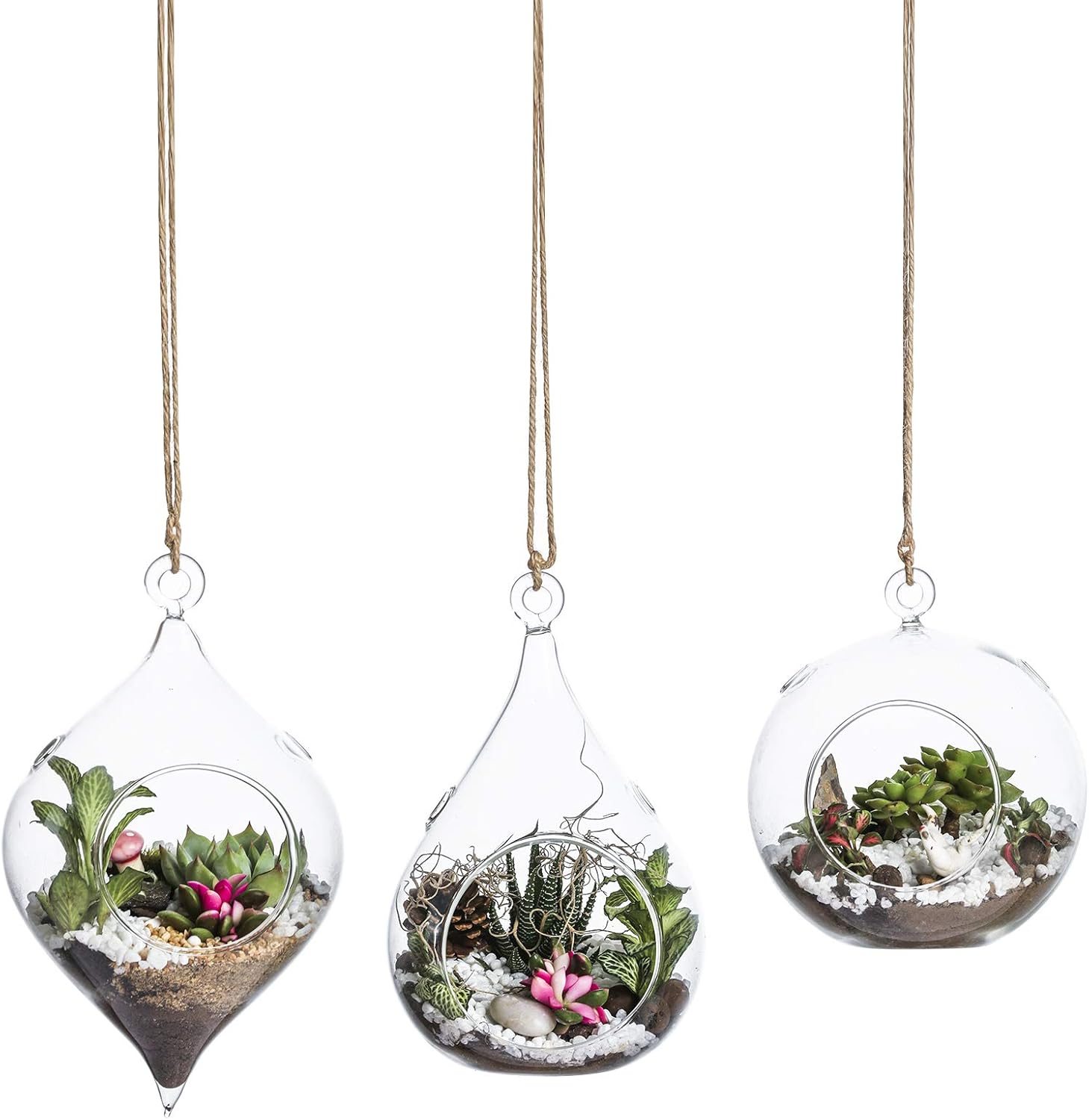 WHOLE HOUSEWARES Holders, Hanging Glass plant terrarium , Large Size - Succulent/Moss/air plant Terrarium Decor 3-Pack with Different Shapes