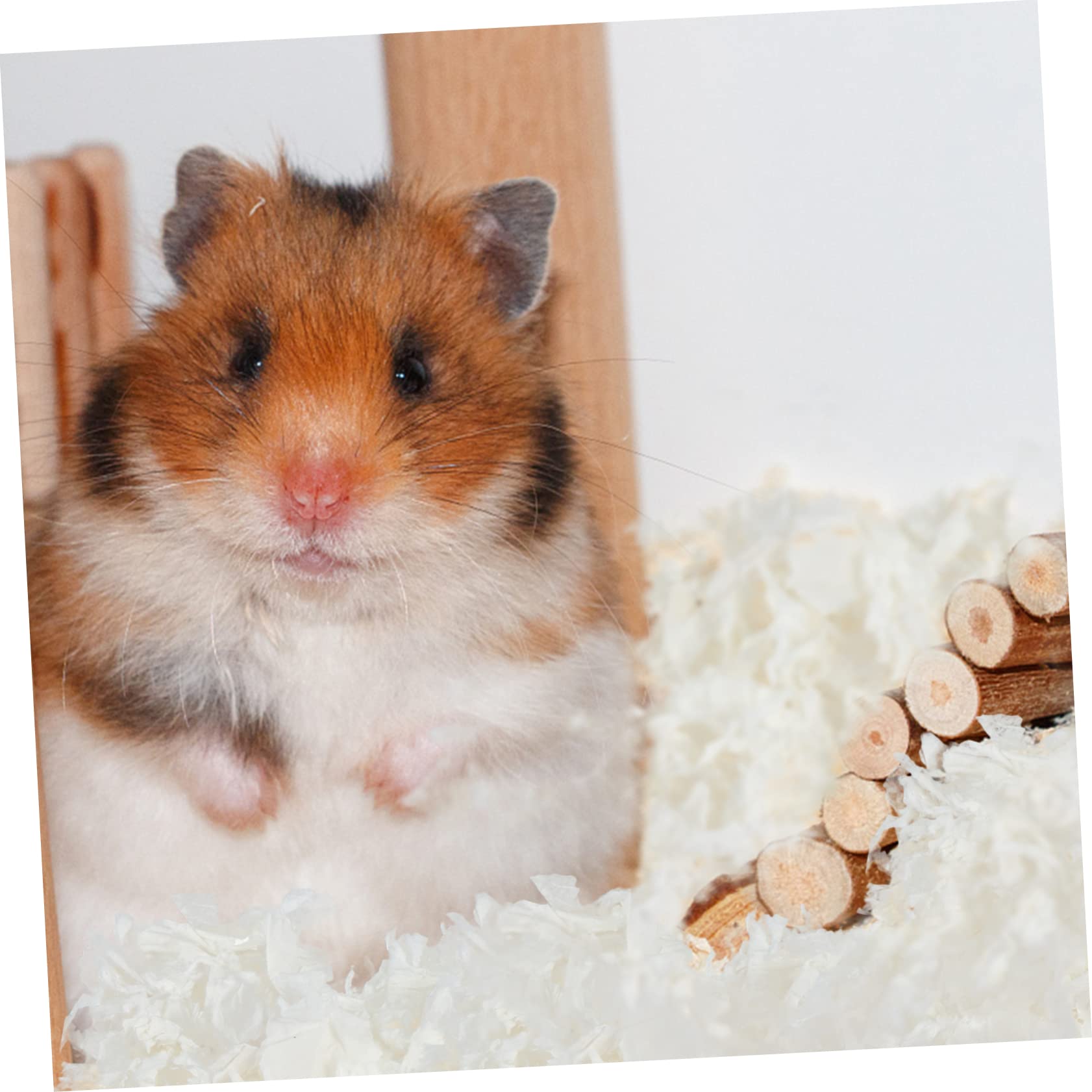 POPETPOP Hamsterstreu mit Geringer Staubentwicklung, 1 Pack, Papier, Weiß