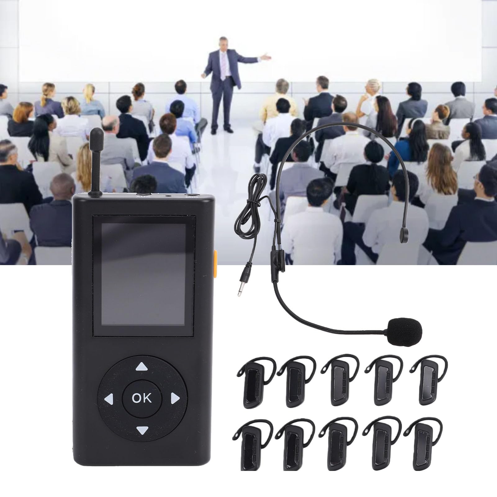 di Guida Turistica Wireless, 1 Trasmettitore 10 Ricevitori, Microfono e Cuffie per Guida Turistica per Visita Stabilimento, Scuola (Spina europea)