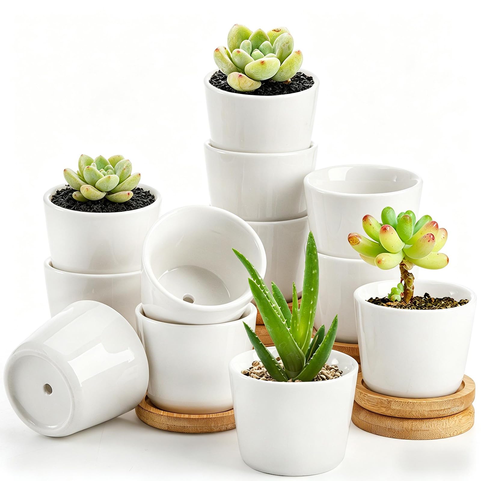 Tosnail Lot de 12 Petits Pots de 6,3 cm avec 12 Plateaux en Bambou