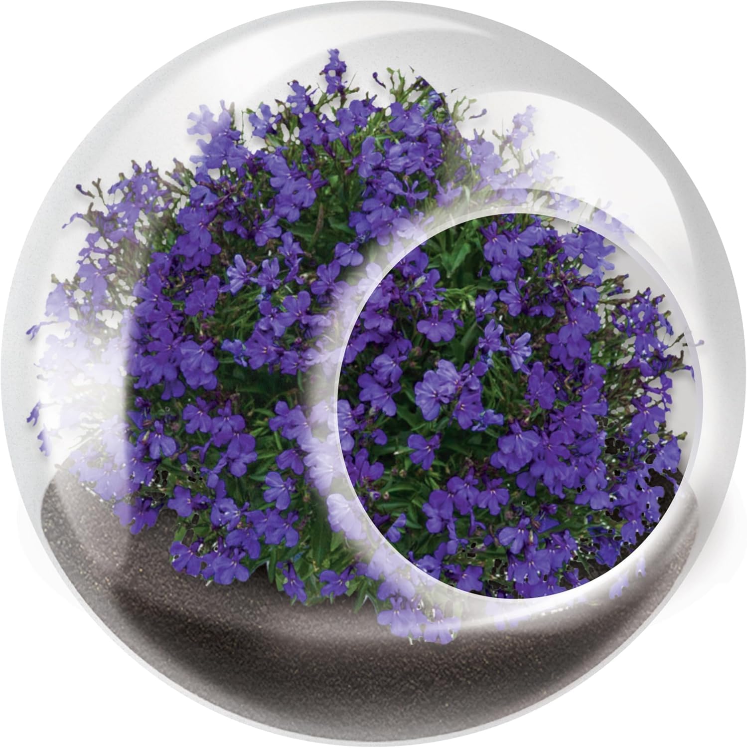 chinese plant pots Blue and White Chinese Ceramic orchid Planter – Chinoiserie Flower Pot –  CoralLimeFloral main image 0