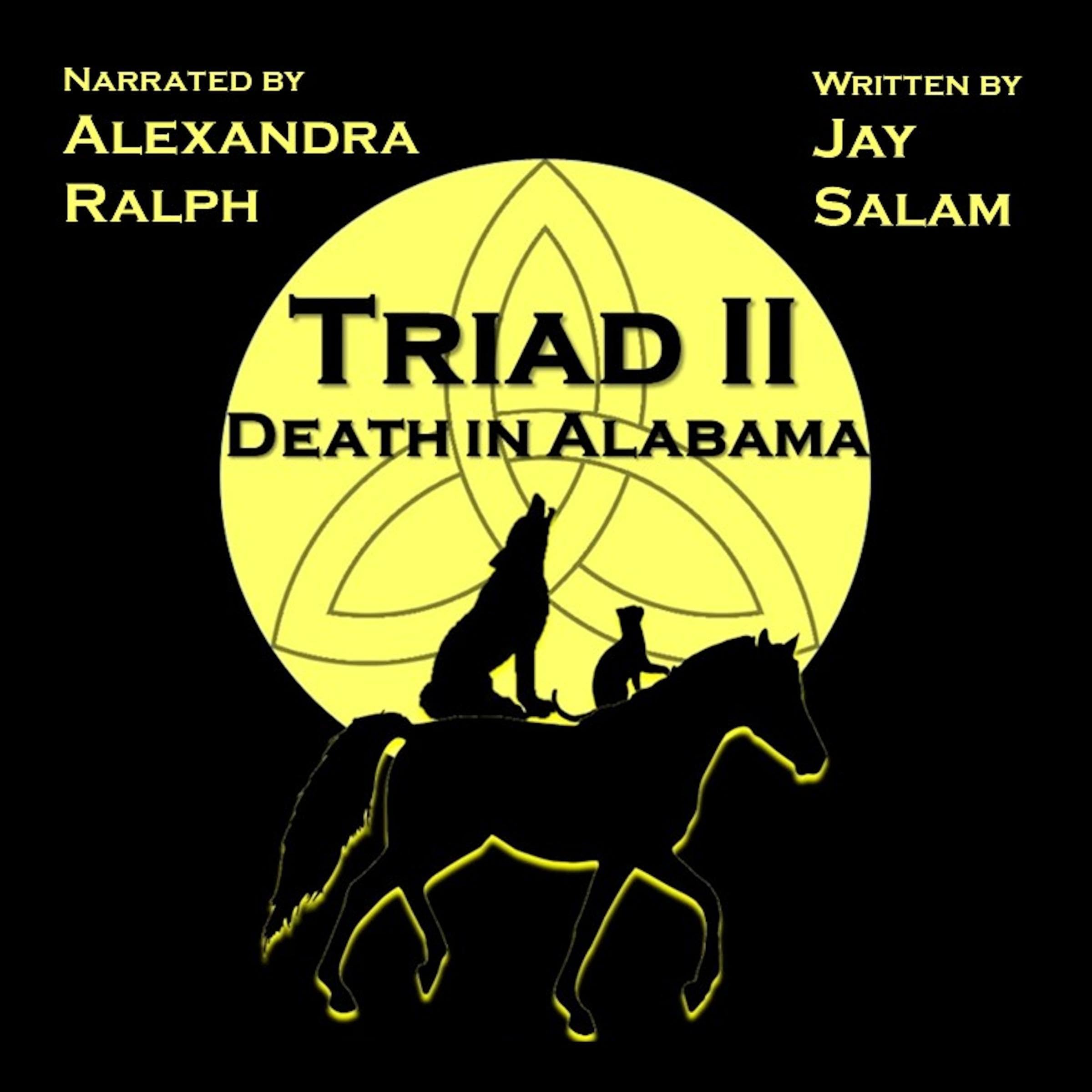 Cover art for Death in Alabama