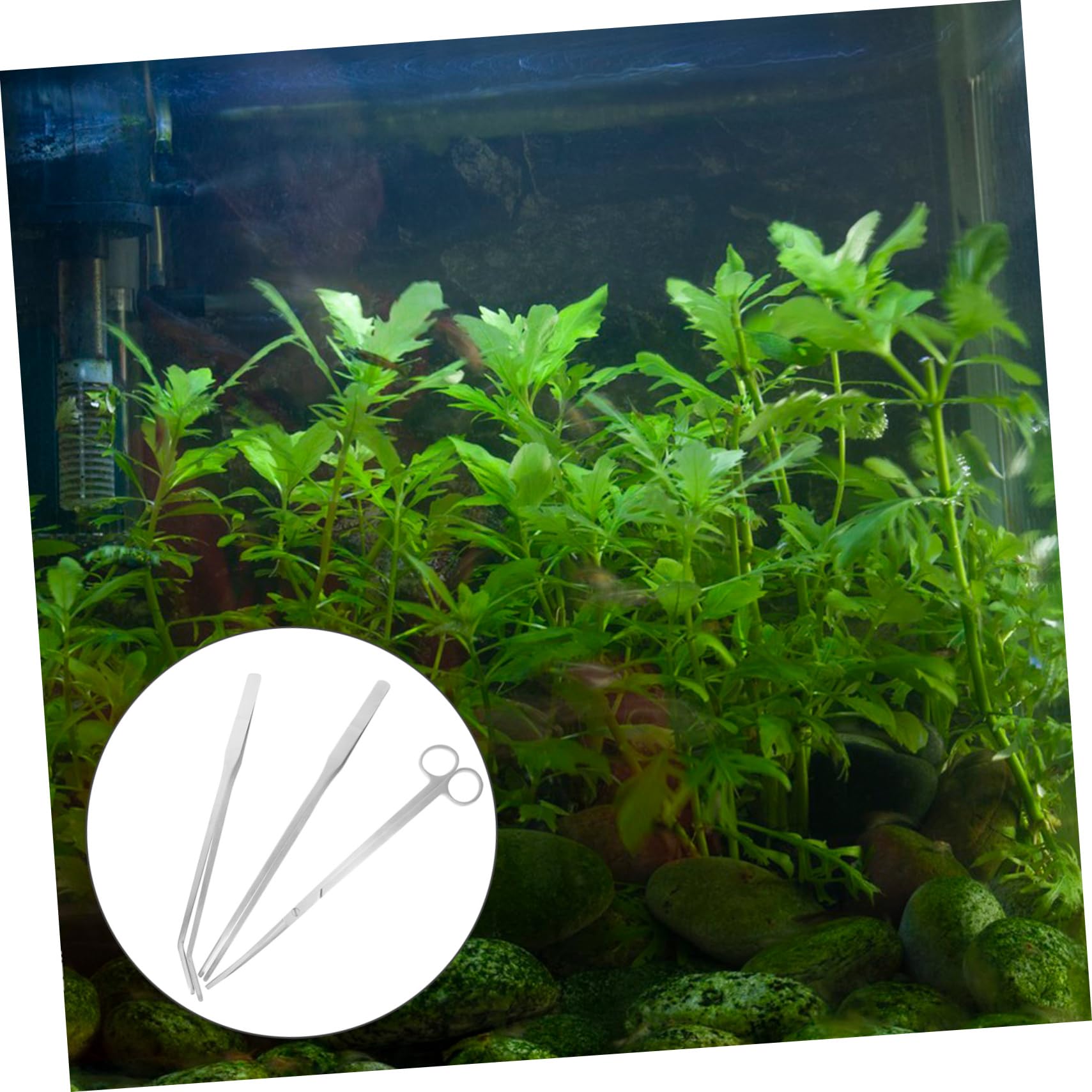 BESPORTBLE 4sätze Aquarium Pflanzen Werkzeugsatz Teiliges Edelstahl Für Aquarienpflege Inklusive Schaufel Gebogenen Scheren Und Pinzetten Für Pflege Von Wasserpflanzen Und Fischbecken