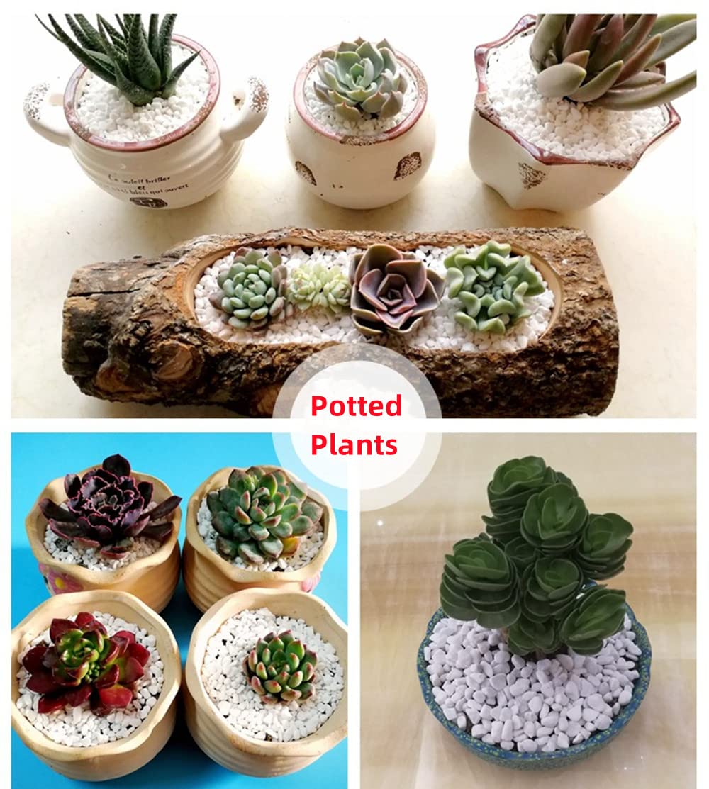 Pietre Decorative Bianche, Piccola Ghiaia da Giardino, Ciottoli di Fiume in Granuli per Acquario, Vaso di Fiori, Riempimento di Vasi e Decorazione del Giardino 9-12 mm (1kg/2.2 lbs)