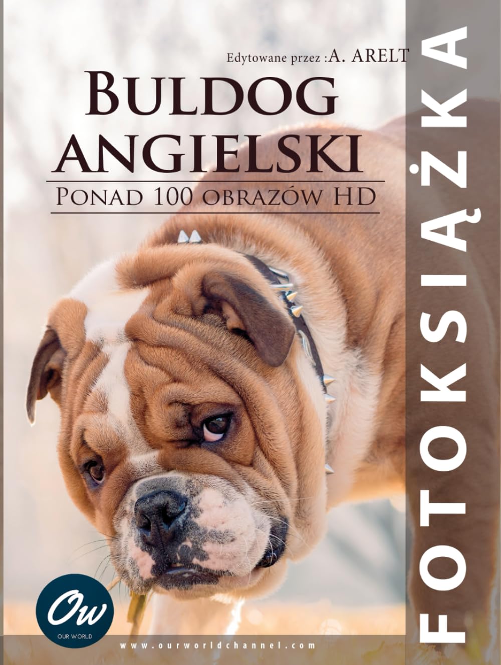 Livre photo bouledogue anglais album haut de gamme couverture rigide