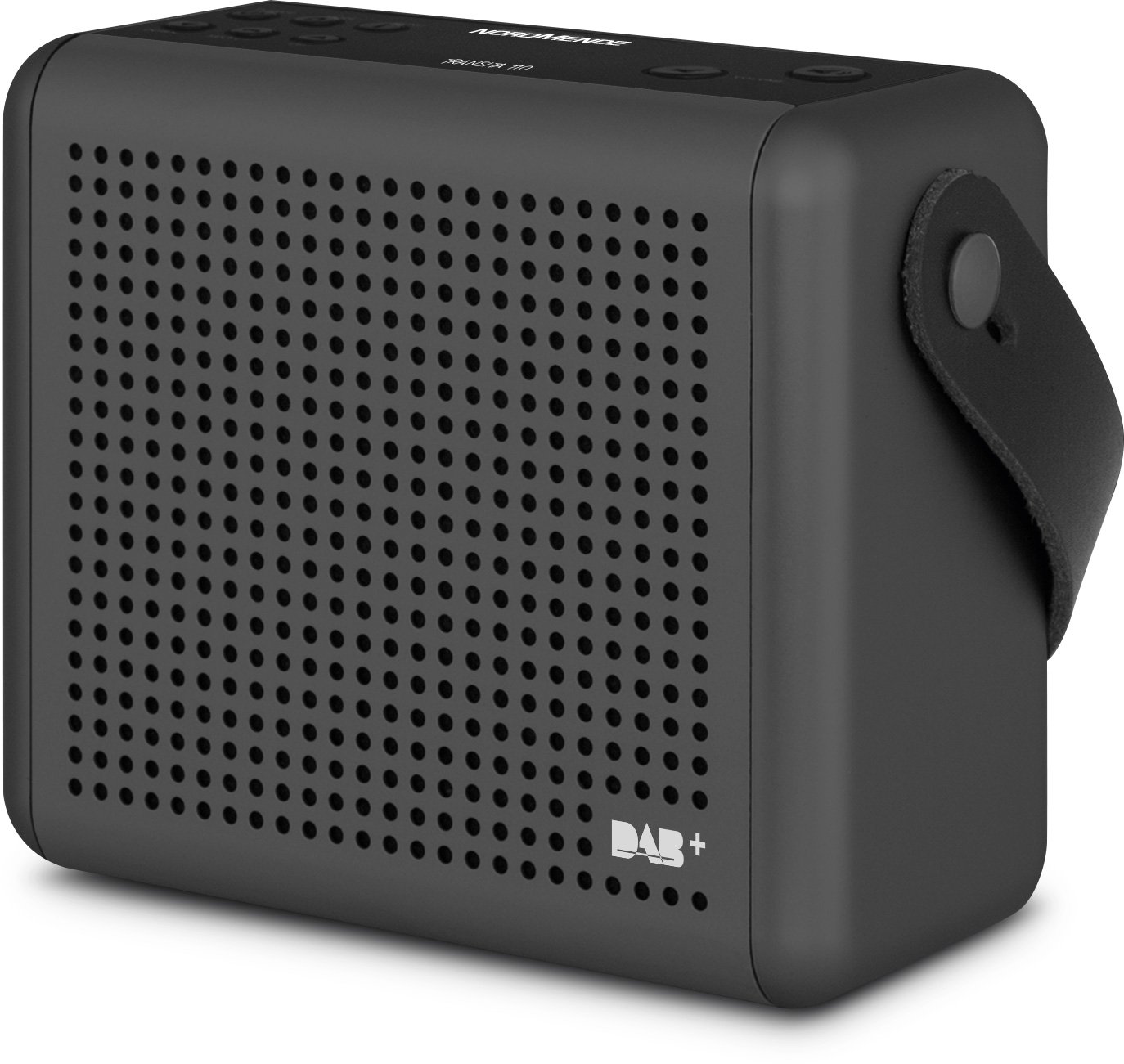 Nordmende Transita 110 - Radio digitale DAB+ e FM portatile (Scatola musicale portatile con display OLED, Radio da esterno con maniglia per il trasporto e orologio), antracite