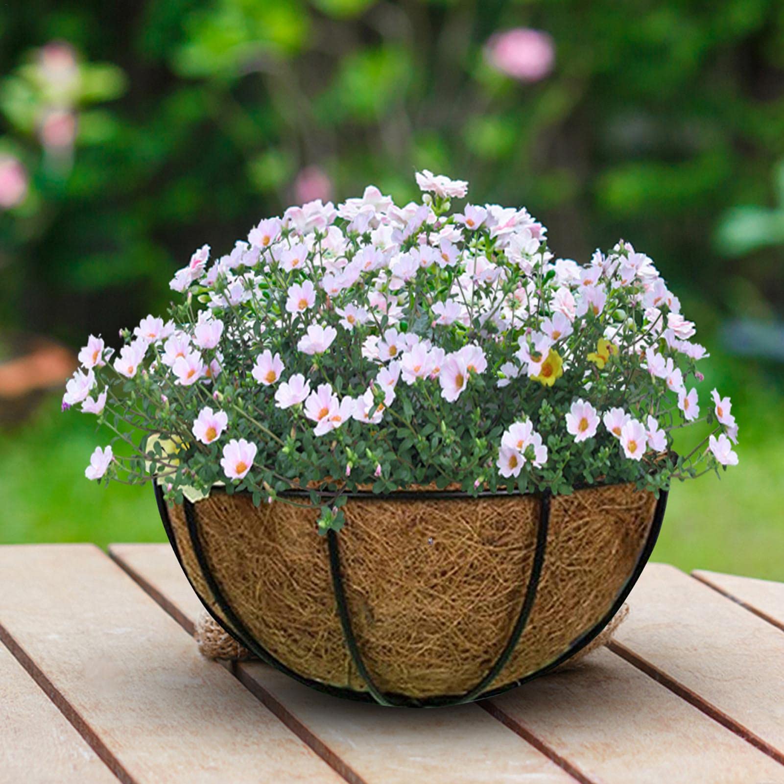 Cesto Sospeso In Fibra Di Cocco Mygarden – Fioriera Da Parete Per Piante, Interno/esterno